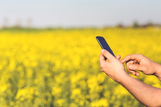 safety-champion-software-mobile-app-android-offline-online