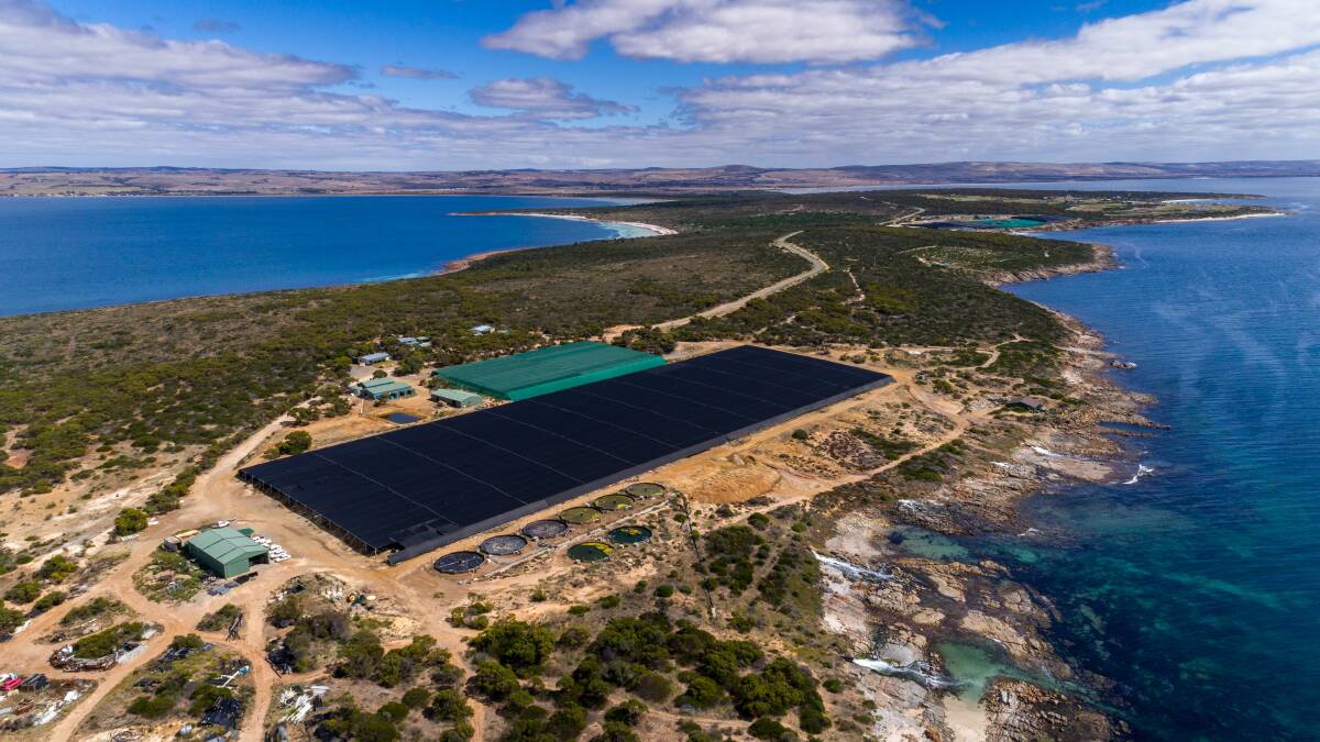 yumbah-aquaculture-sa