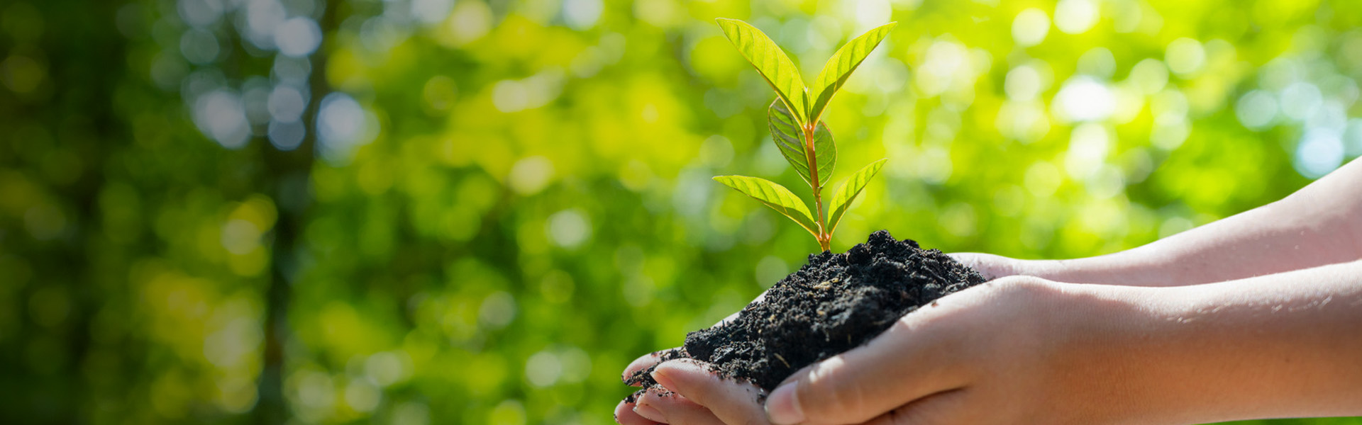 Environmental, Social & Governance (ESG)